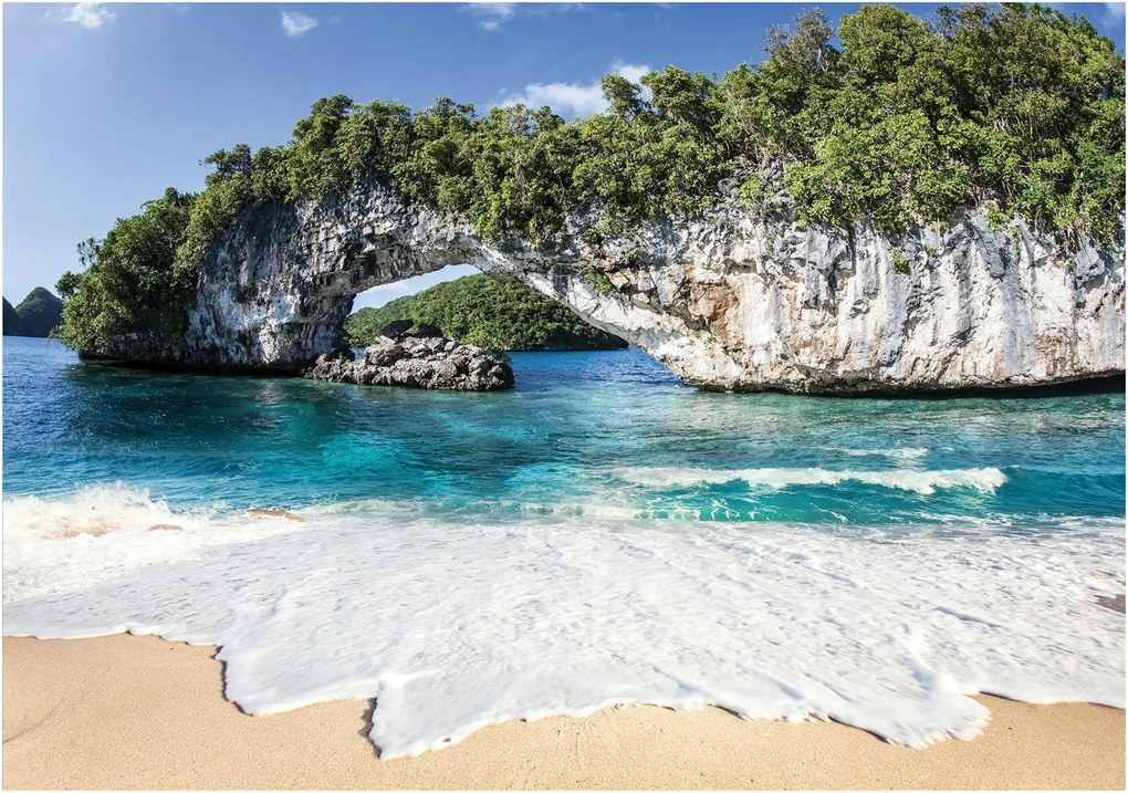 Fotótapéta tenger tengerpart pálmafák 312 x 219 11236VEXXL