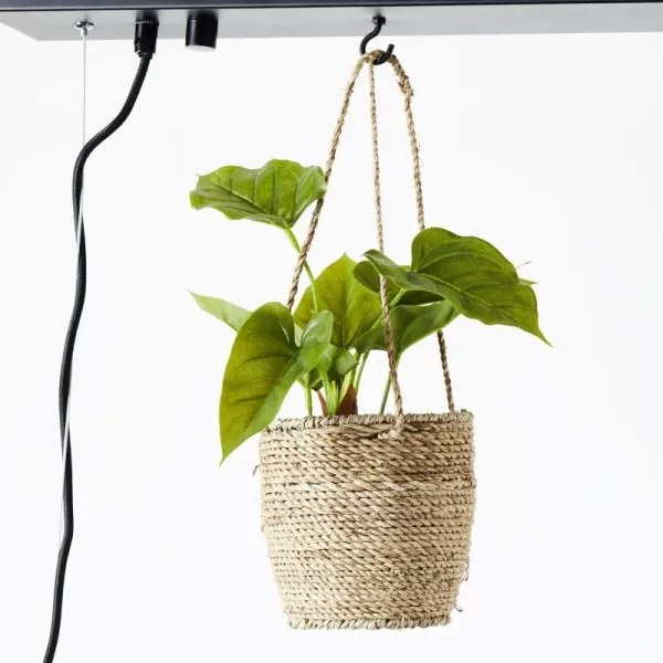 Brilliant - Kábeles függeszték BANKWOOD 5xE27/28W/230V nyárfa