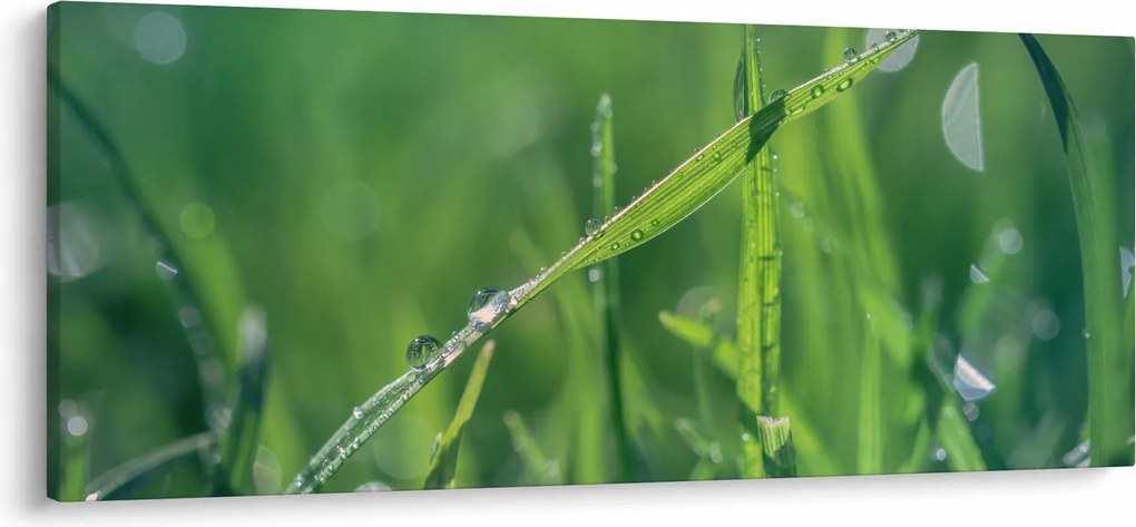 Harmat cseppek képe (120x50 cm)