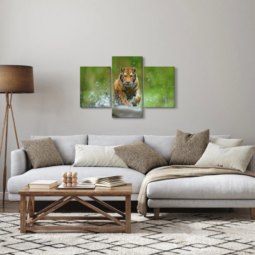 Kép - Futó tigris (90x60 cm)