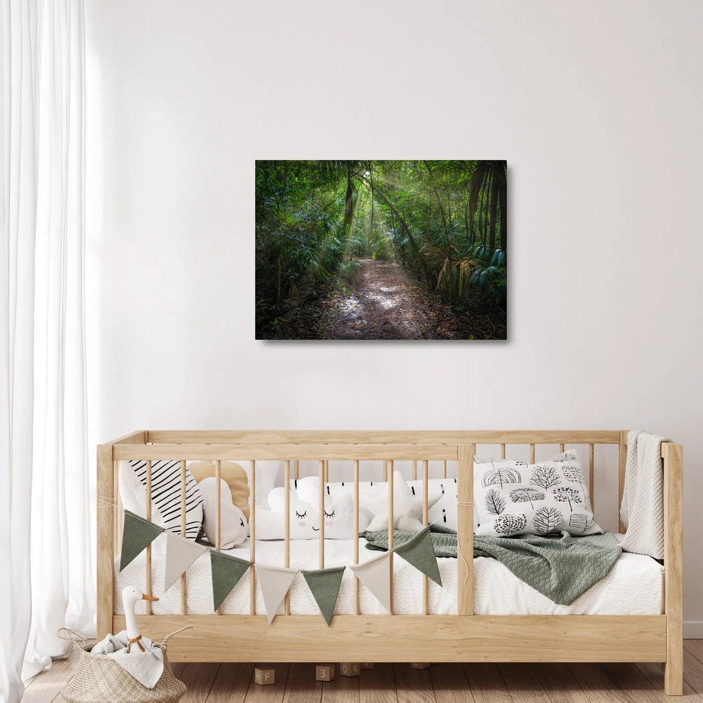Kép - Napsugarak a dzsungelben (üvegen) (70x50 cm)