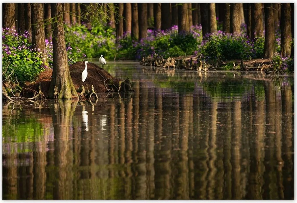 Poszterek 200x135 Tájkép Látvány