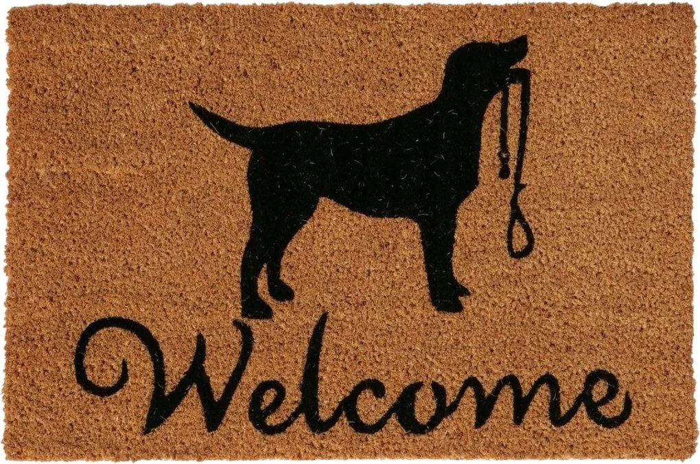 Lábtörlő Kókusz Gumi 60x40 cm geometrikus mintás Pvc ajtószőnyeg