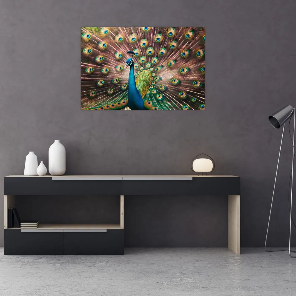 Kép - Páva (90x60 cm)