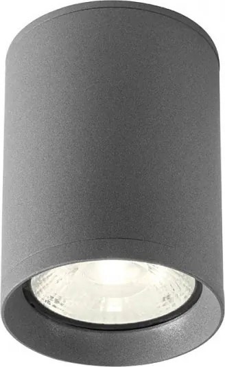 REDO 90339 XILO Modern Kültéri Mennyezeti Lámpa LED IP54