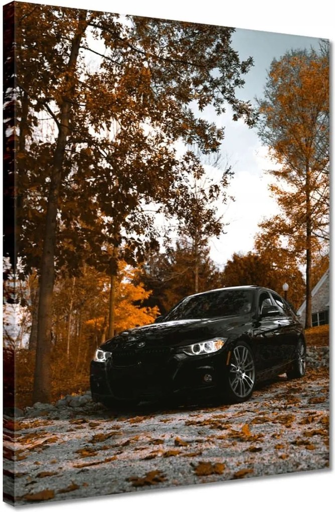 Vászonkép 30x40 Fekete Bmw Ősz