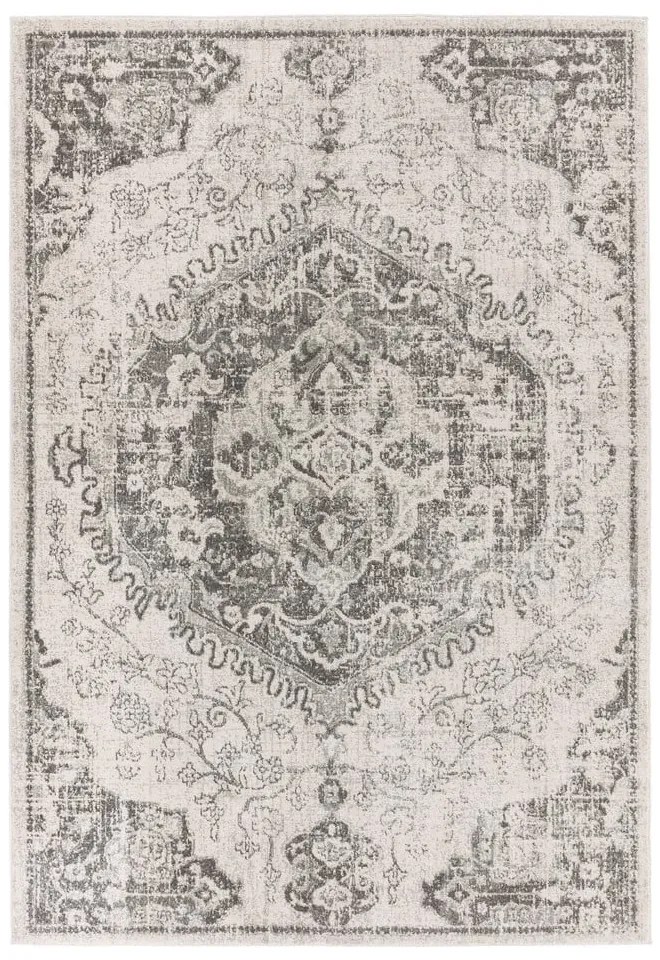 Szürke-krémszínű szőnyeg 200x290 cm Nova – Asiatic Carpets