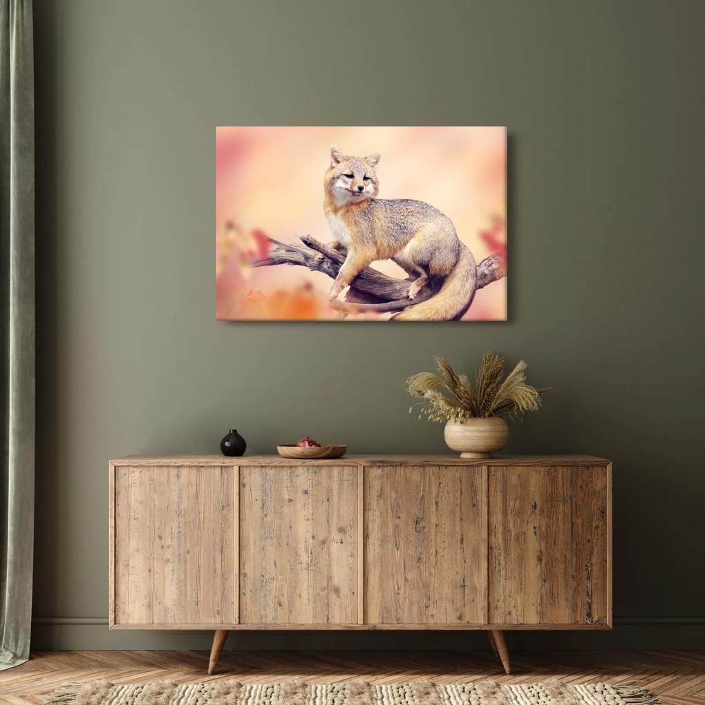 Kép - Róka (90x60 cm)