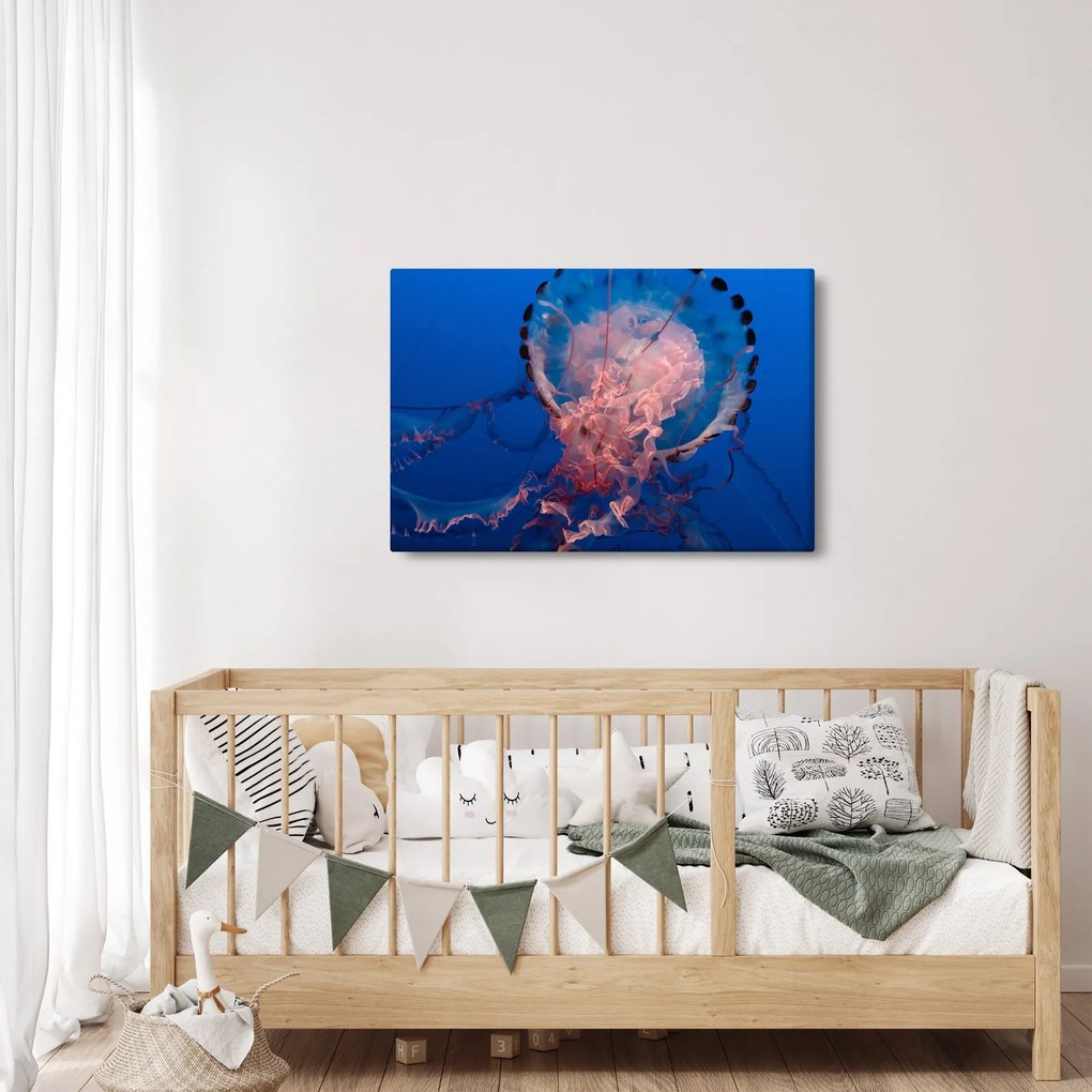 Medúza képe (90x60 cm)