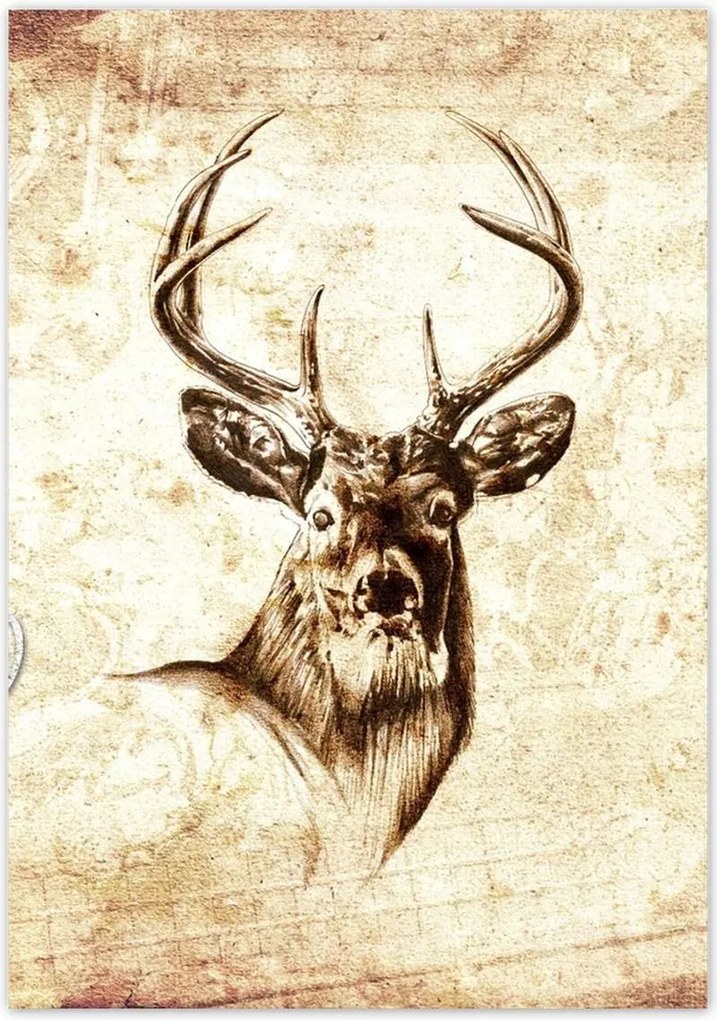 Poszterek 70x100 Szarvasfej