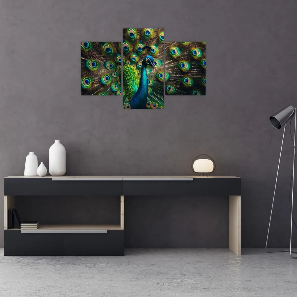 Kép – Pávatoll (90x60 cm)