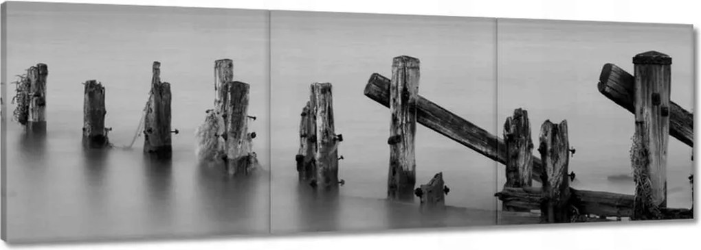 Vászonkép 60x20 Fa hullámtörő a tengeren