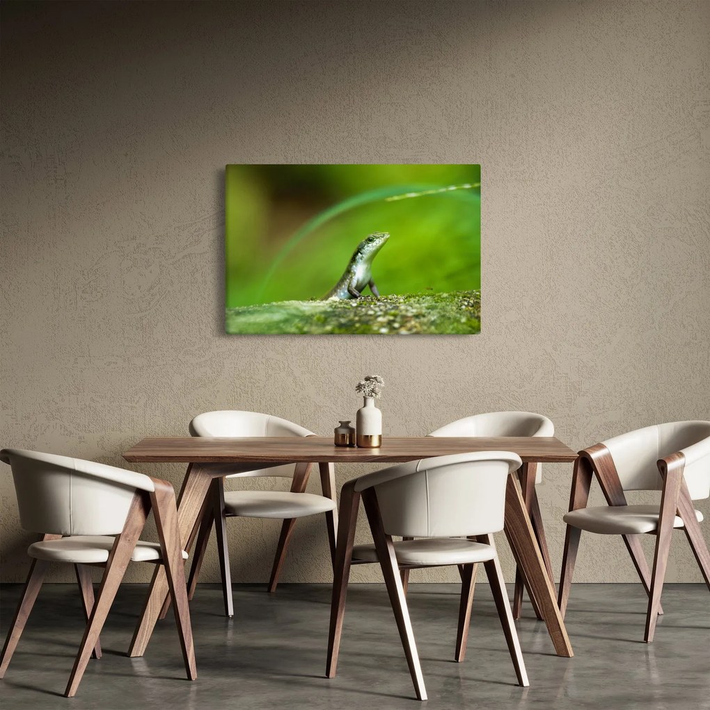 Gyíkok képe (90x60 cm)