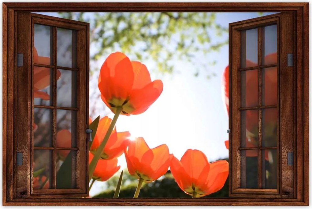 Poszterek 90x60 Az égen a pipacsok által