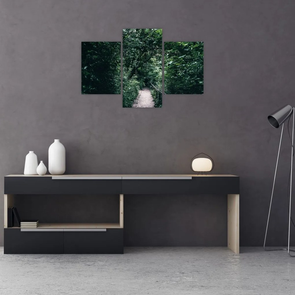 Kép - Az erdőn át vezető út (90x60 cm)