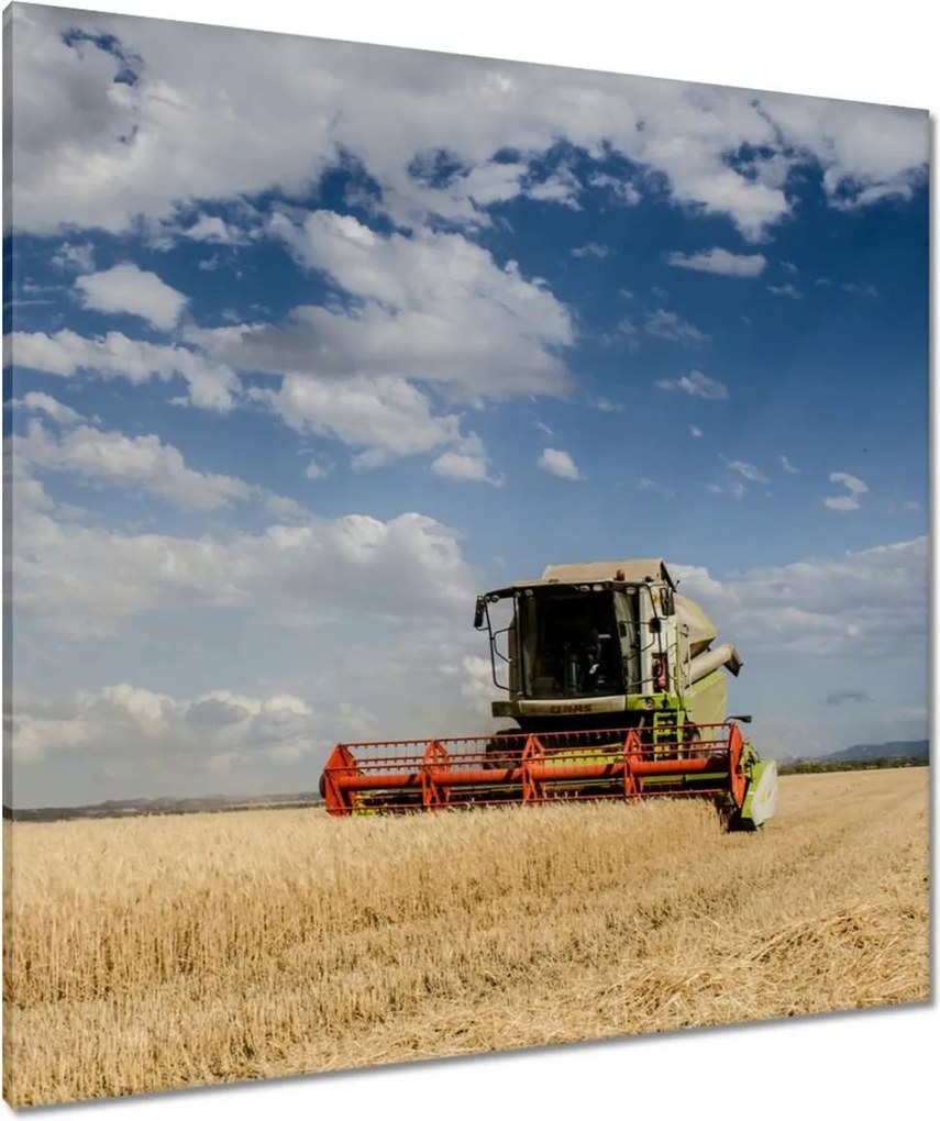Vászonkép 90x90 Kombájn az aratás idején