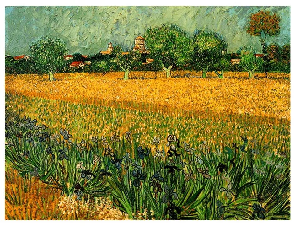 Vincent van Gogh - View of arles with irises in the foreground festményének másolata, 40 x 30 cm