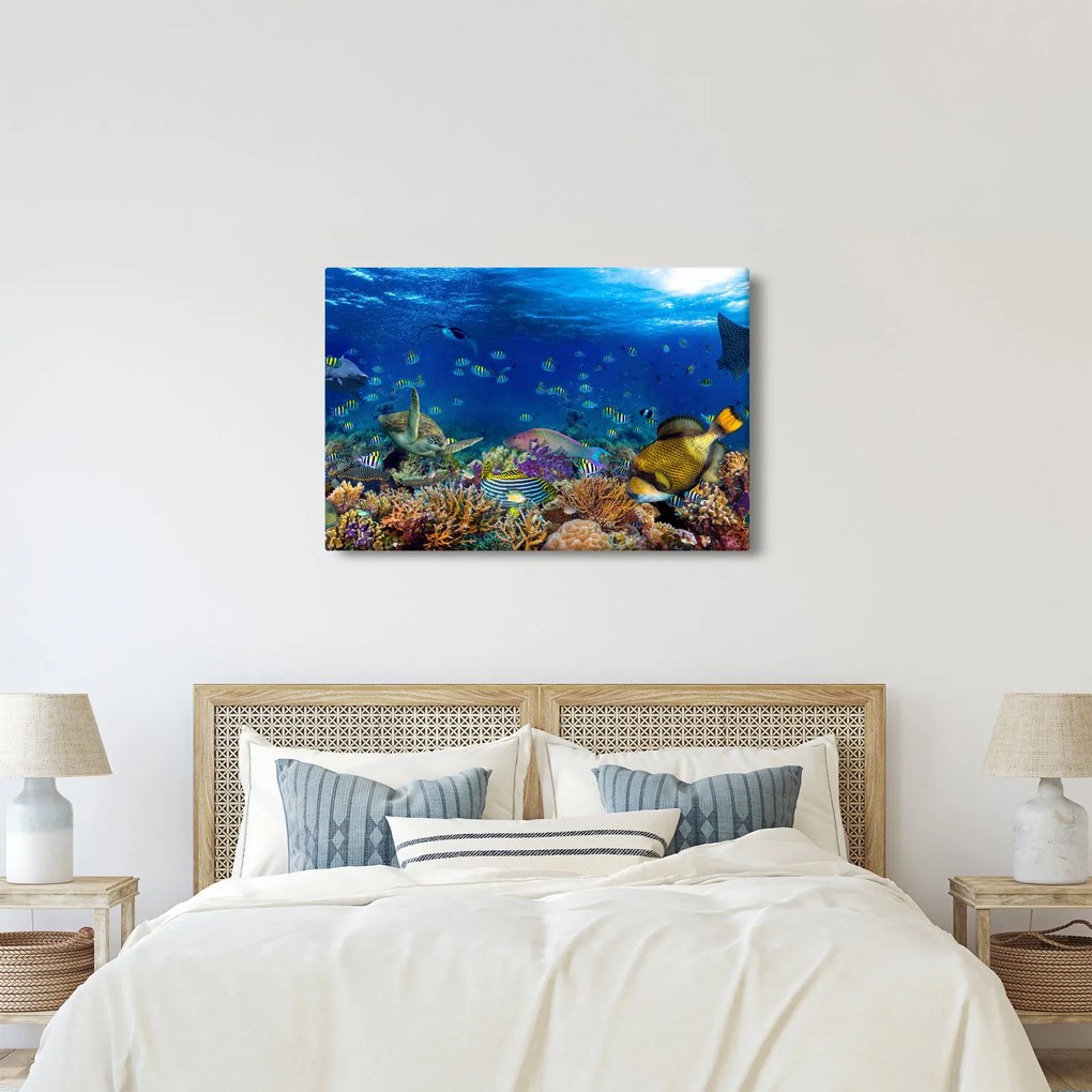 Kép - Óceán (90x60 cm)