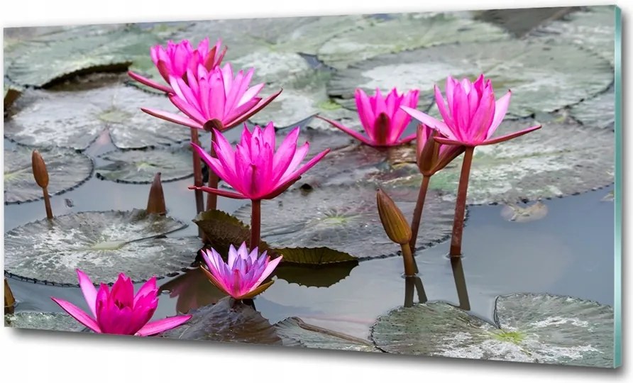 Fotó üvegkép Levendula egy cserépben 100x70