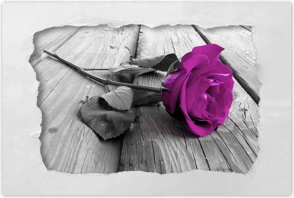 Poszterek 120x80 Lila rózsa