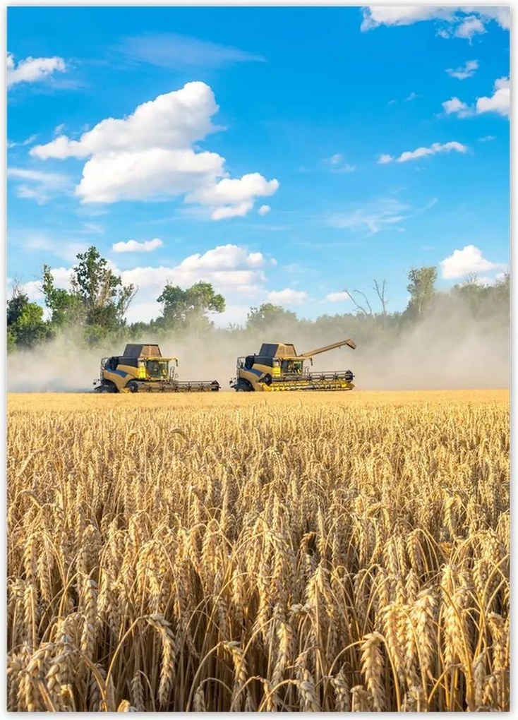 Poszterek 50x70 Két fűnyíró kombájn