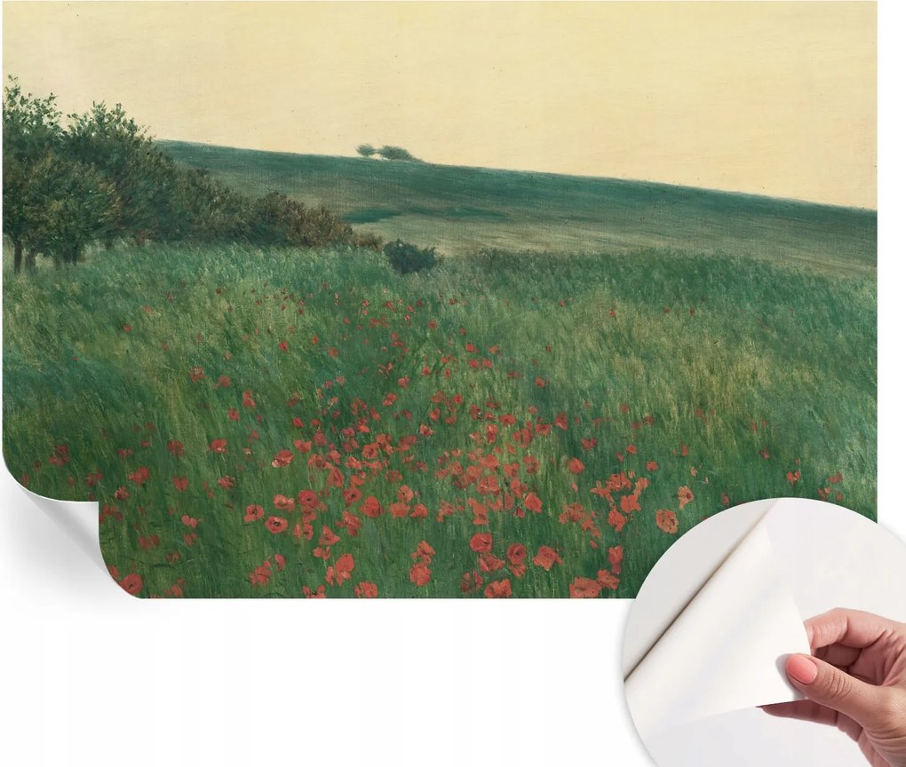 Dekoratív öntapadós fotótapéta Hálószobába Pipacs mezők 152x104 cm