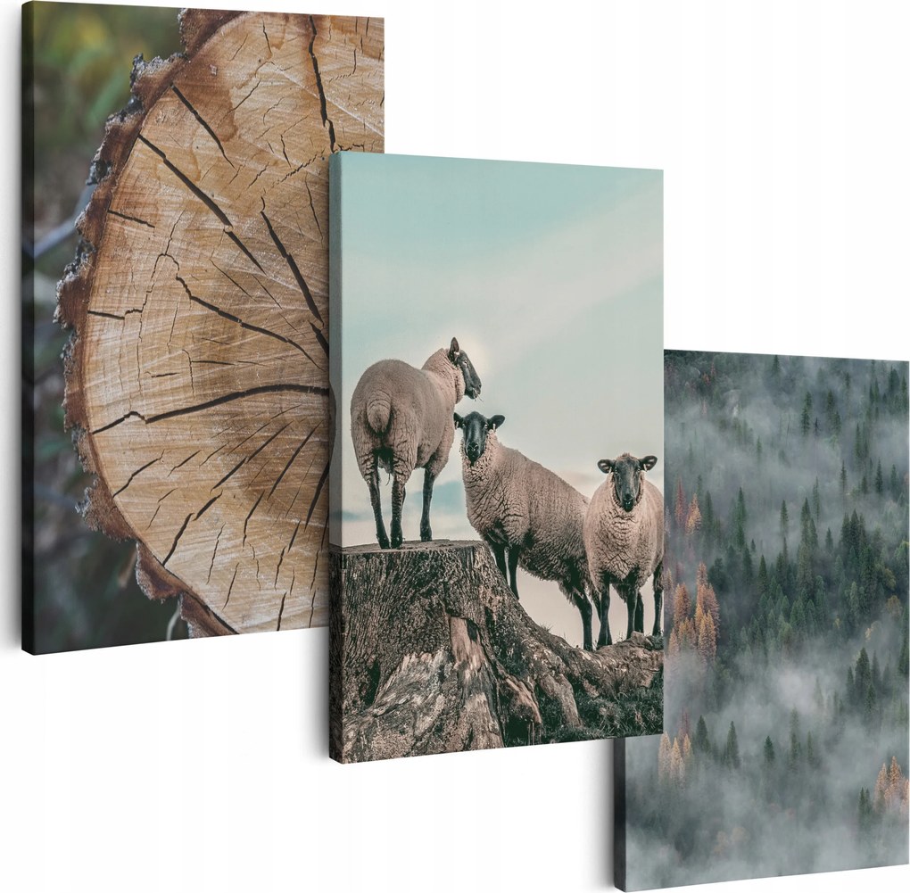 Vászonkép 180 cm **többféle minta** 3 Db Nappali Falikép