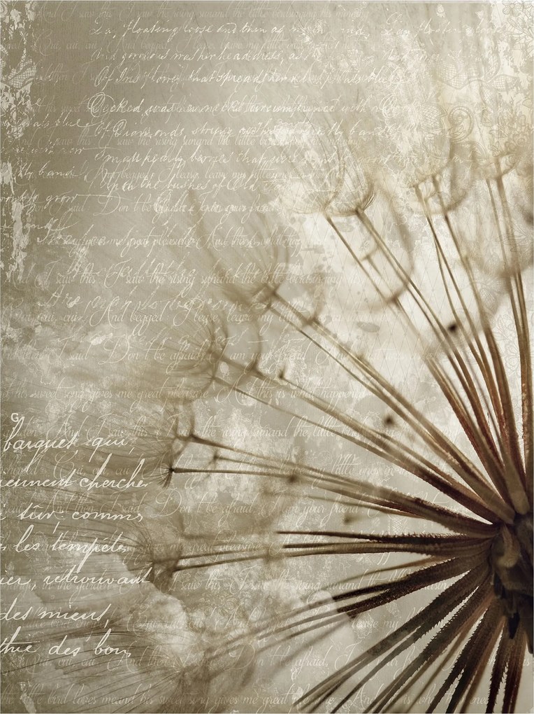 Pitypang Pasztell álmok a szélben fotótapéta textúrával 206x275 +ragasztó