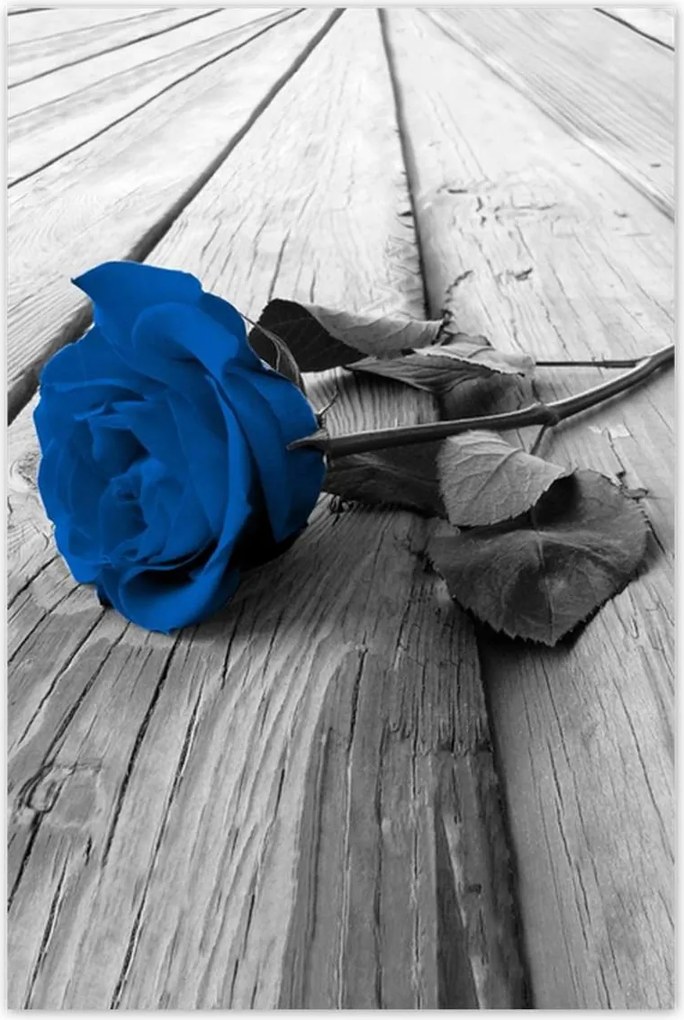 Poszterek 80x120 Kék rózsa a hídon