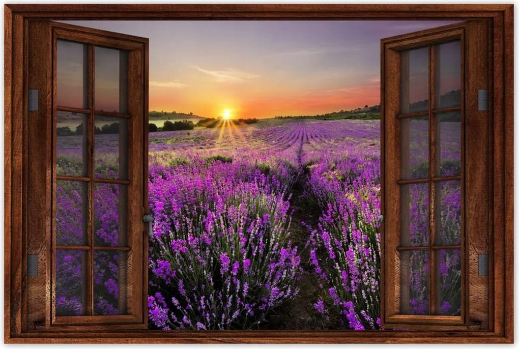 Poszterek 60x40 Levendula rét