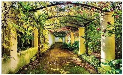 Fotótapéta Utca Virágok Fotótapéta 416 x 254 2296VEXXXL