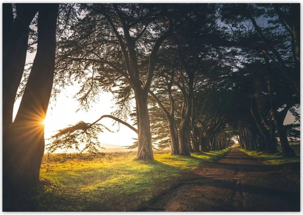 Poszterek 100x70 Tájkép Látvány