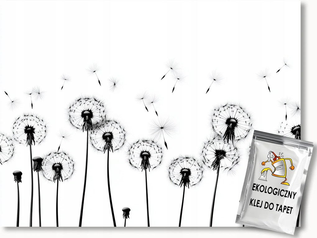 Fotótapéta Flizelina Grafika Természet Virágok Pitypang B&amp;w 400x280 ragasztó