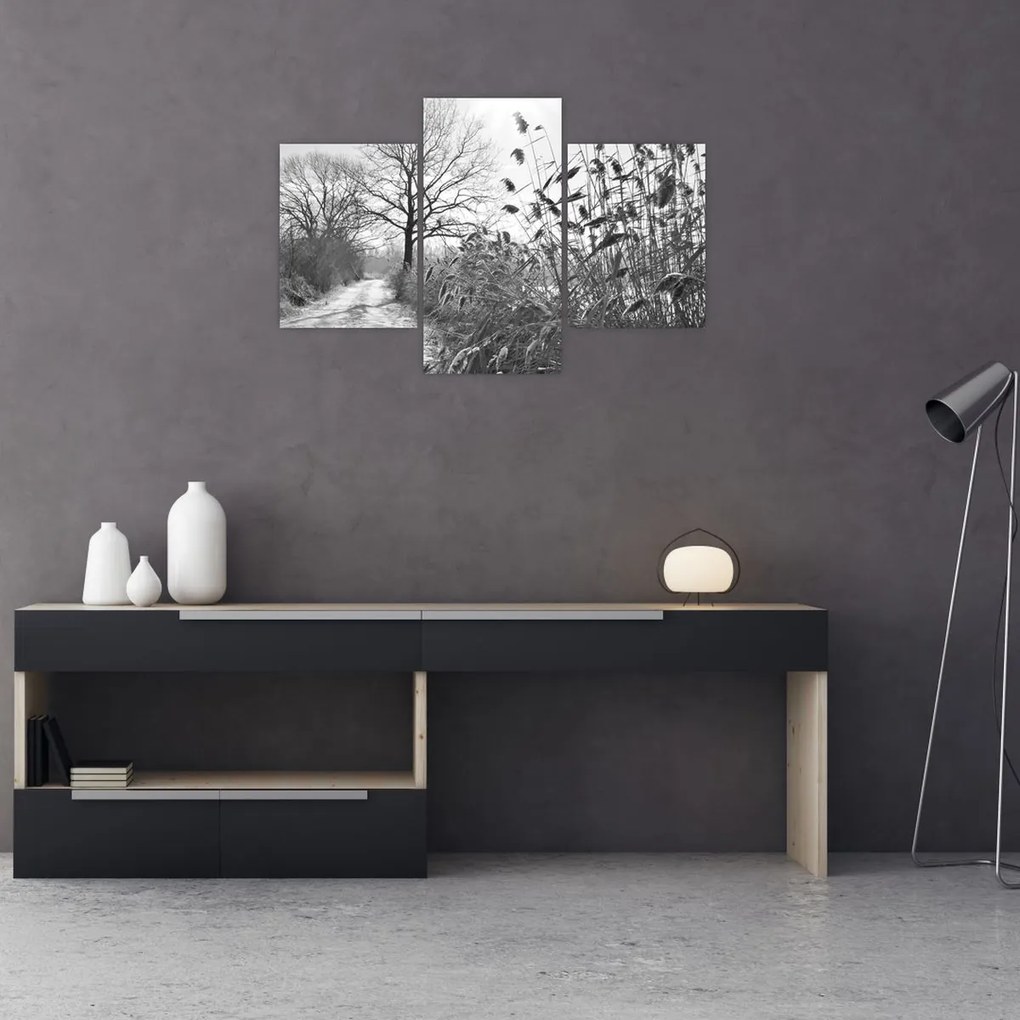 Kép - Mezők télen (90x60 cm)