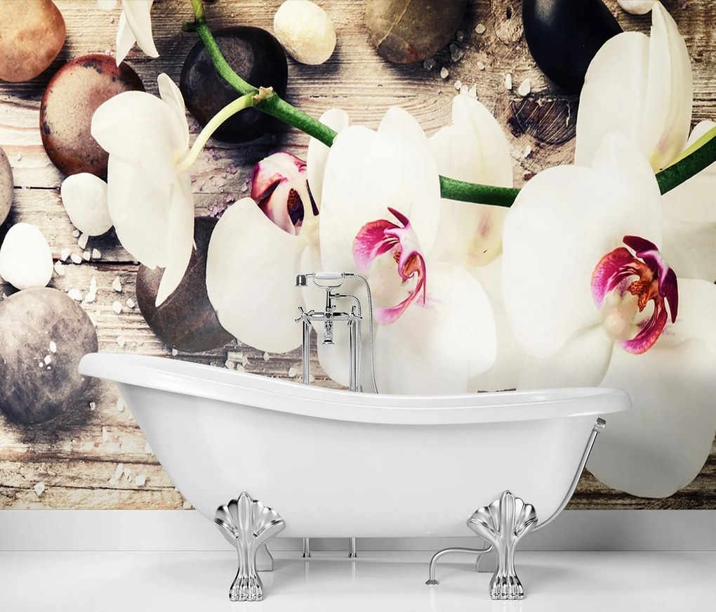 Gario Fotótapéta Színes zen orchideák Anyag: Vlies, Méret: 350 x 245 cm