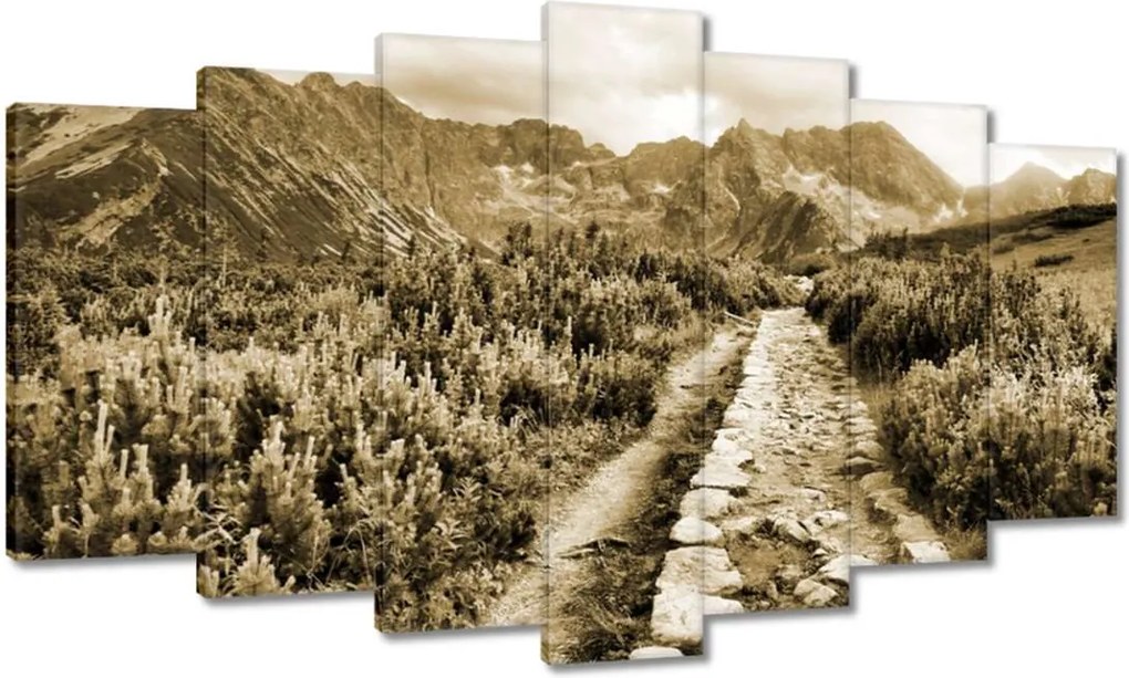 Képek 140x80 Tátra Lengyel hegyek Kilátás