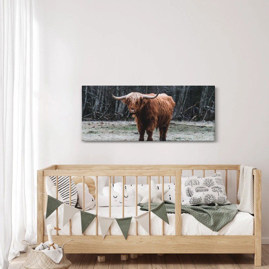 Kép - Skót tehén 2 (120x50 cm)