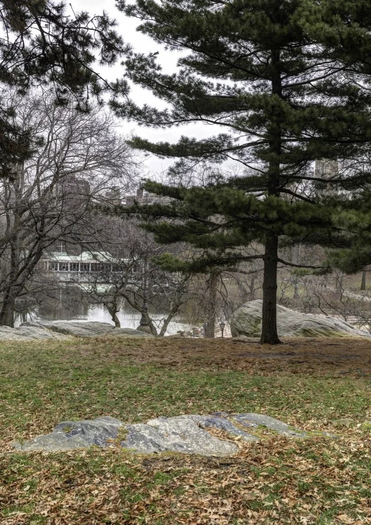 Poszter 29,7x42cm Central Park, New York, Assaf Frank