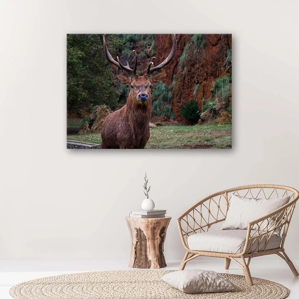 Gario Vászonkép Az erdő királya Méret: 90 x 60 cm