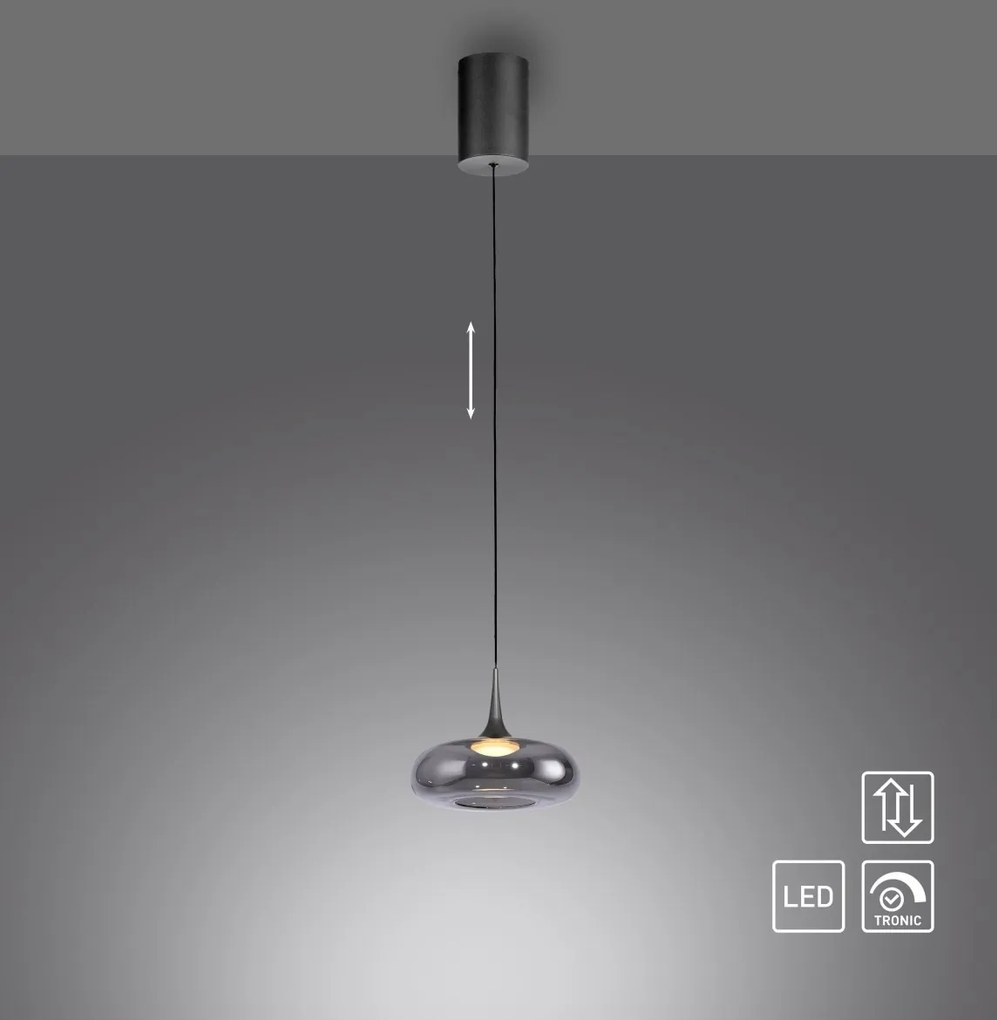 Paul Neuhaus modern függeszték posh szürke pln15692-15