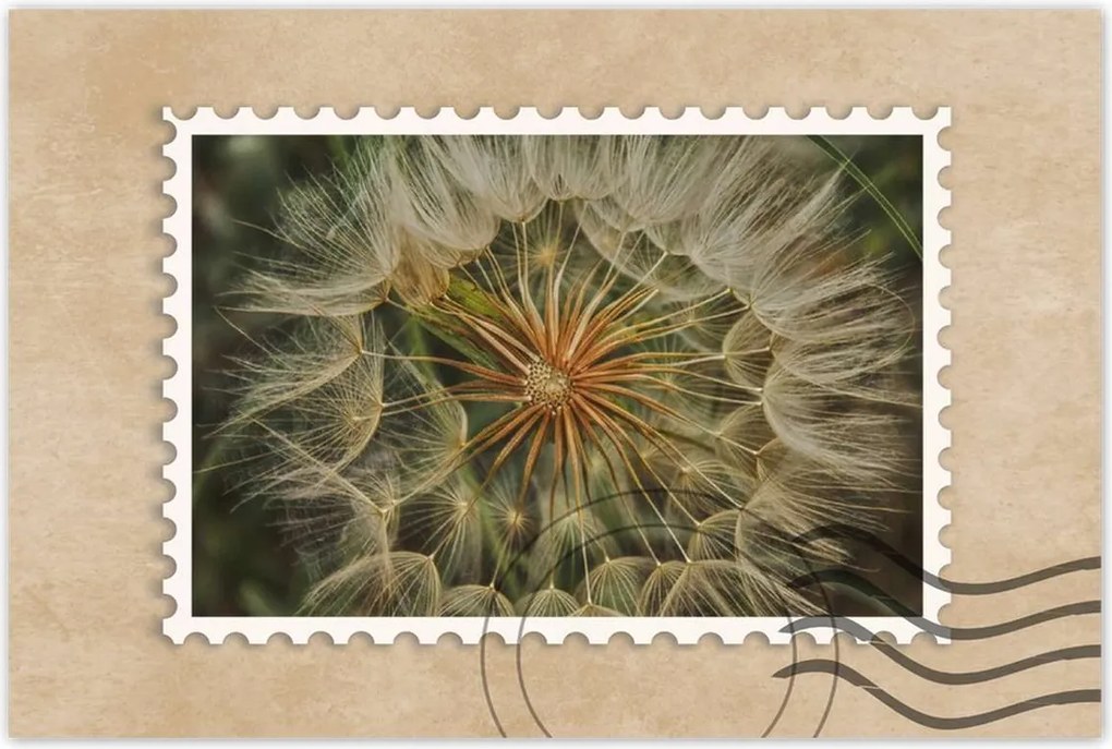 Poszterek 90x60 Pitypang Virág Virágok