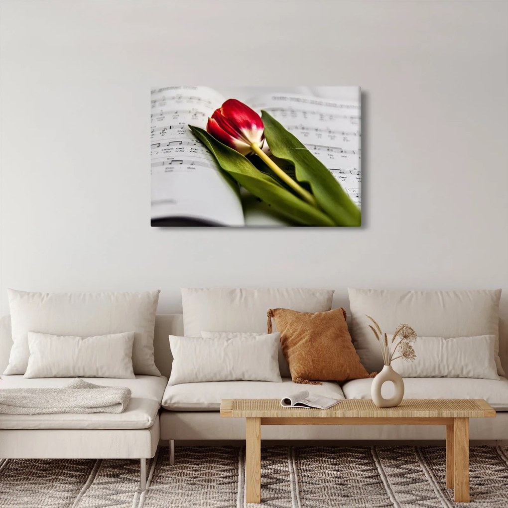 Egy vörös tulipán képe (90x60 cm)