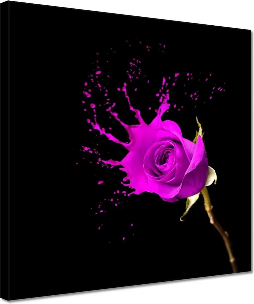Vászonkép 30x30 Lila rózsa hatású
