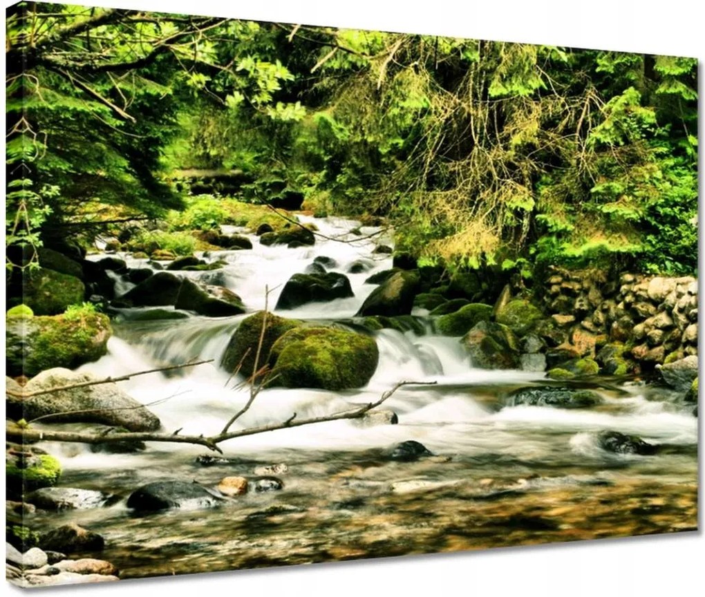 Vászonkép 40x30 Folyó a Tátrában