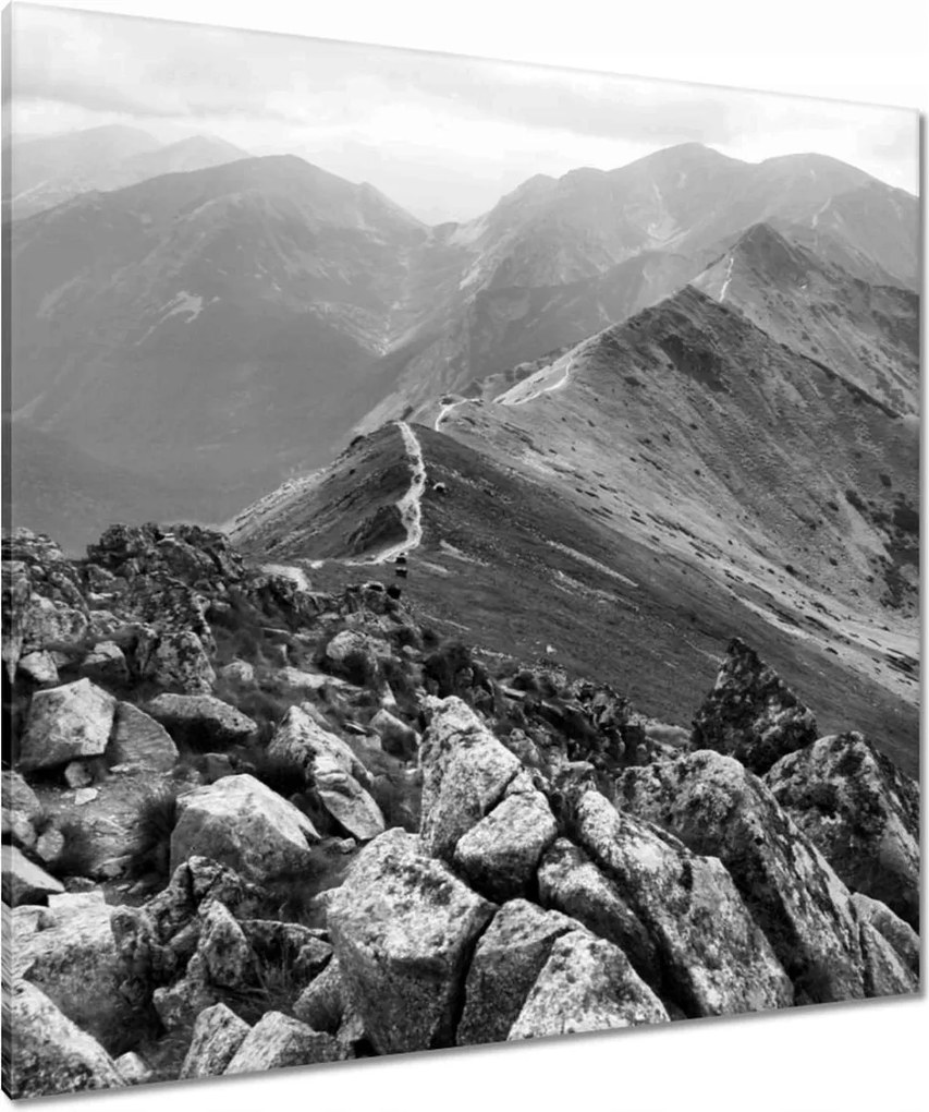 Vászonkép 90x90 Tátra Lengyel hegyek Kilátás