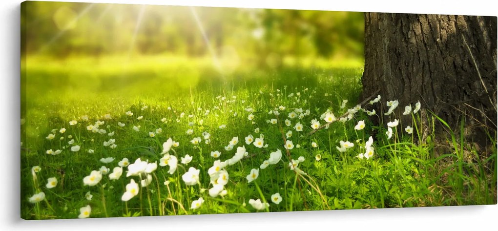 Tisztás és a virágok képe (120x50 cm)
