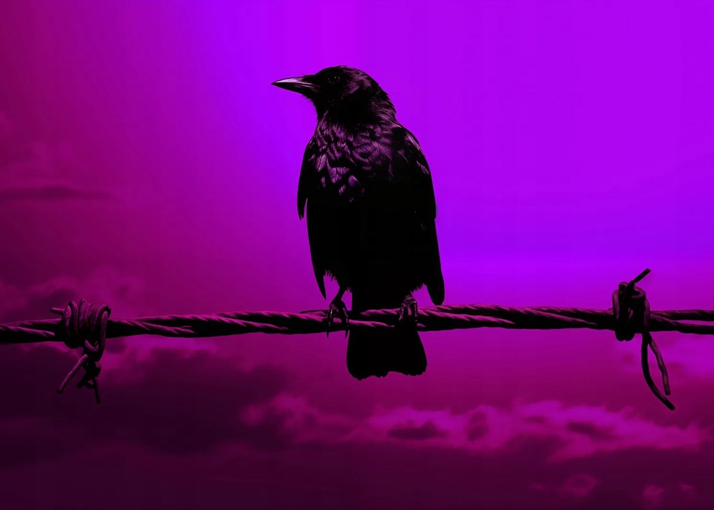 Poszter 70x50cm Rejtély sziluett