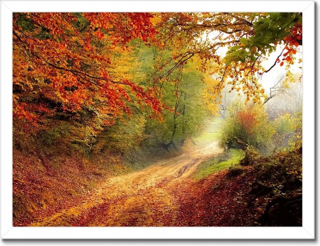 Poszterek keretben 40x30 Tájkép