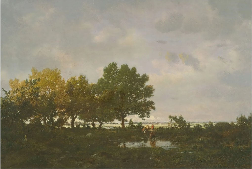 Fotótapéta Flizelin Hálószoba és Nappali Erdei tájkép 104x70