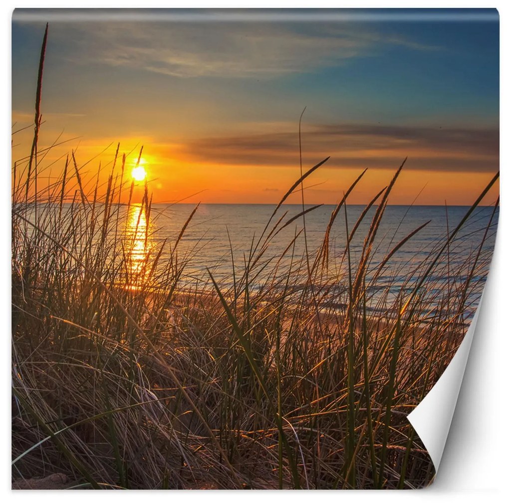 Gario Fotótapéta A naplemente kilátása a tenger felett Anyag: Vlies, Méret: 250 x 250 cm